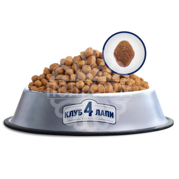 Adult Cats Indoor 4 in 1 Сухий корм для котів, що живуть у приміщенні 