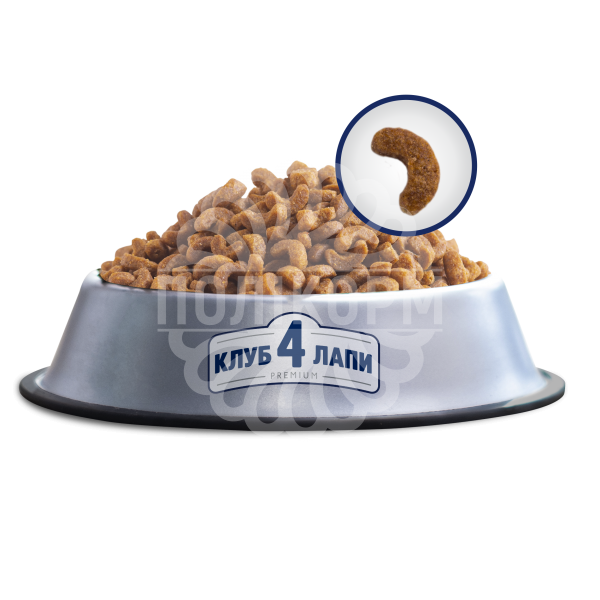 Club 4 Paws Premium Adult Cats Chicken Пвнораціонний сухий корм для дорослих котів з куркою.