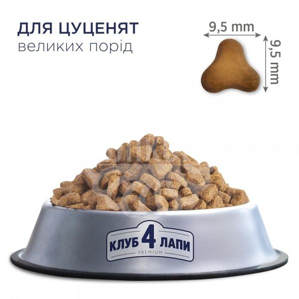 Puppies Large Breeds Сухий корм для цуценят великих порід - курка