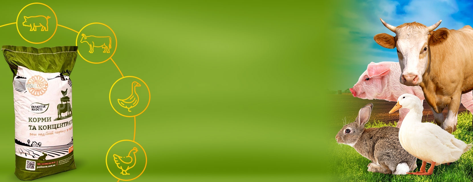 banner with blur bg image