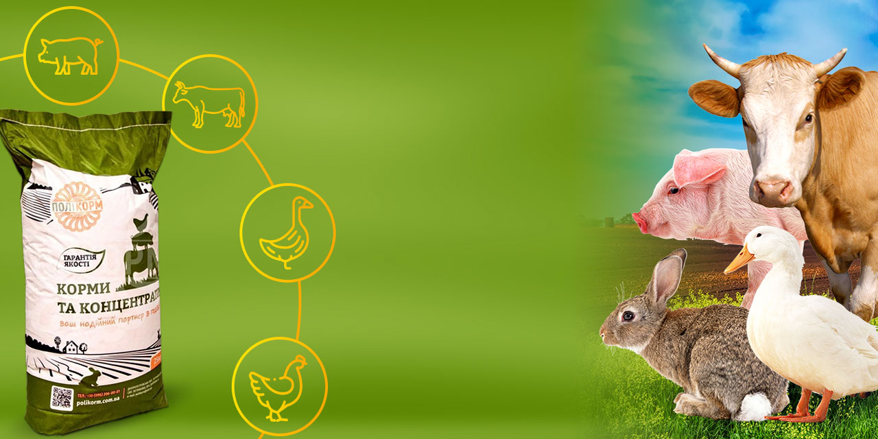 banner with blur bg image